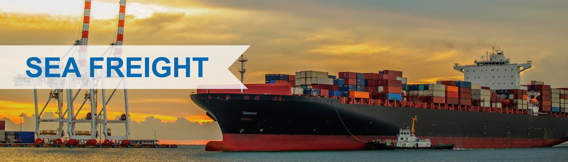 Xnet Logistics